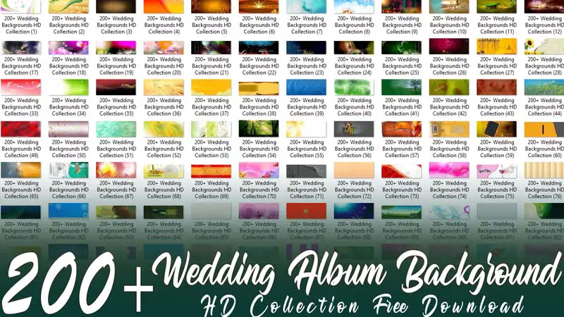 200+ Wedding Album Background HD Collection Free Download
