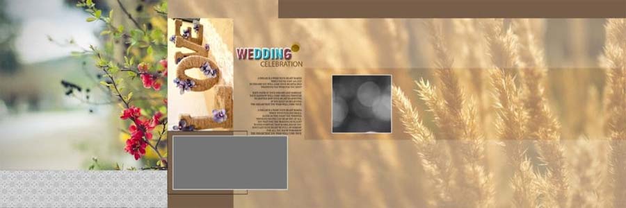 Wedding Album Photoshop Background