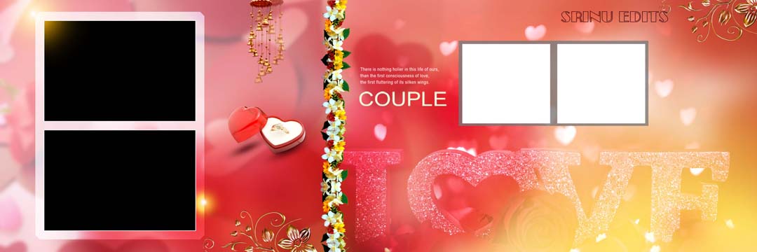 100+ Ready Made Wedding Album Creative Design PSD Sheets