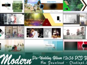20 Modern Pre-Wedding Album 12x36 PSD Backgrounds Free Download