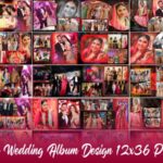 20 Indian Wedding Album Design 12x36 PSD Templates