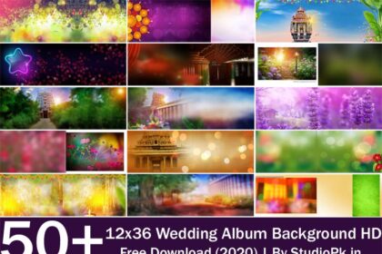 12x36 Wedding Album Background HD Free Download (2020)