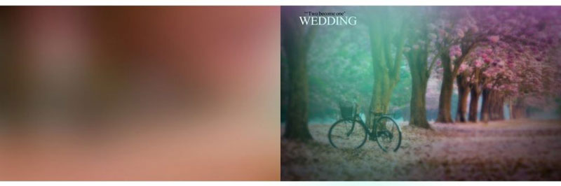 Wedding Album Background