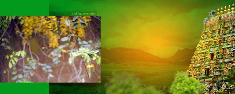 Karizma Background 12X30 HD PSD
