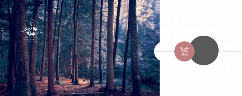 Karizma Background 12X30 HD PSD