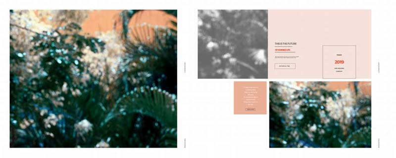 Karizma Background 12X30 HD PSD