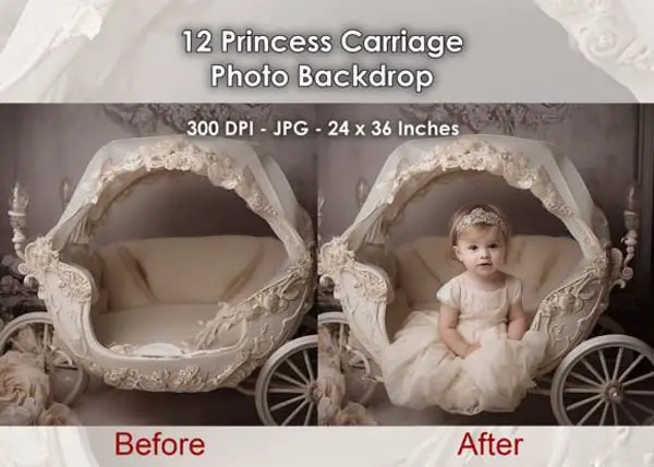 12 Princess Carriage Photo Backdrop JPG