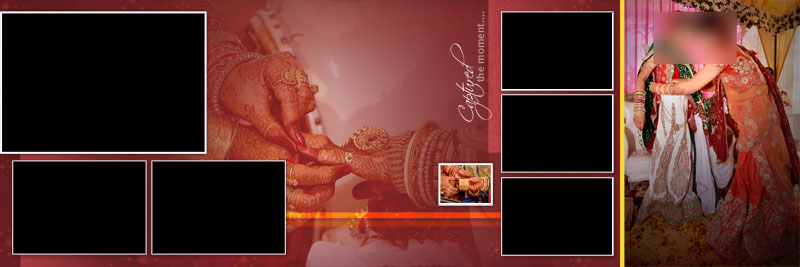 Vidhi Album Design 12x36 PSD Templates