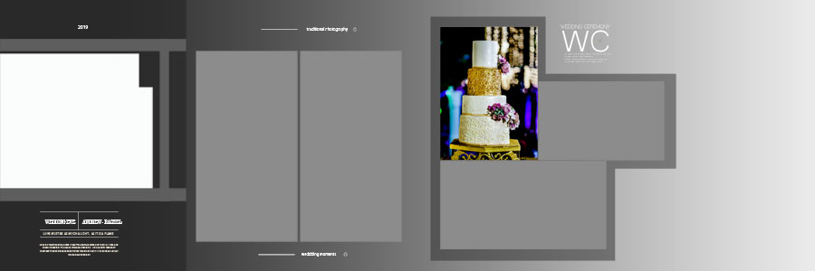 12x36 Creative Wedding Album Design