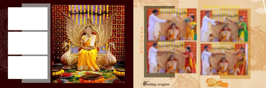 Stunning Indian Wedding Album Design