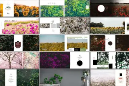20 New Tintone Floral 12x36 PSD Templates