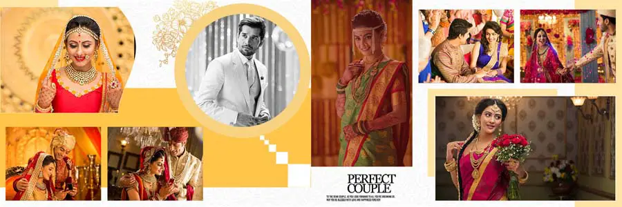 Vidhi Wedding Album Design 12x36 PSD Templates