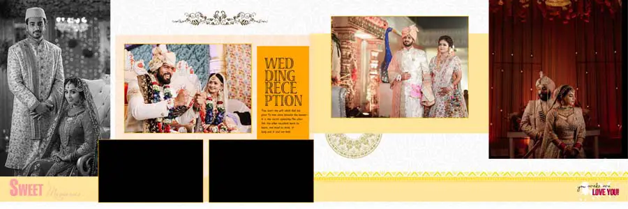 Vidhi Wedding Album Design 12x36 PSD Templates