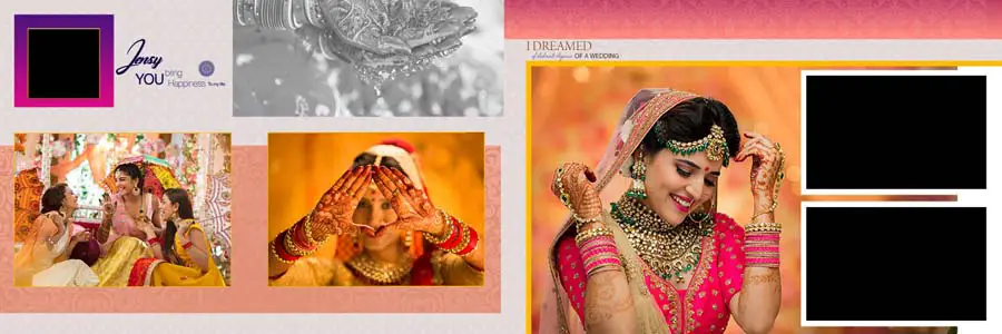 Vidhi Wedding Album Design 12x36 PSD Templates