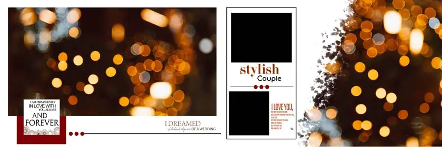 Wedding Album DM 12x36 PSD Templates