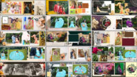 20 Baby Shower Album Design 12x36 PSD Templates
