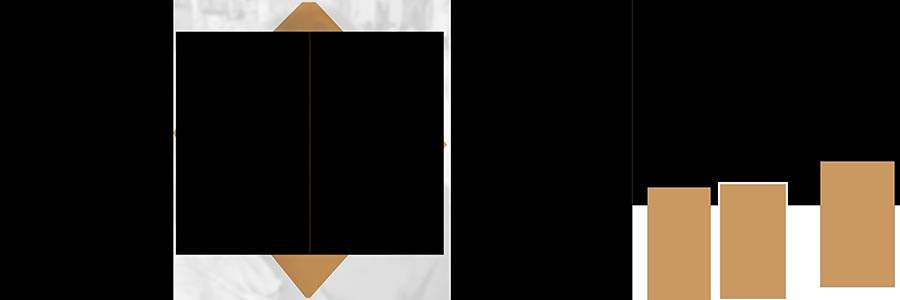 Creative Bengali album design PSD 12x36 for wedding photography