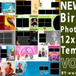 Birthday Photo Album 12x36 PSD Templates Vol-02