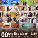 Top 100 Wedding Album 12x36 DM Designs PSD Sheets Bundle